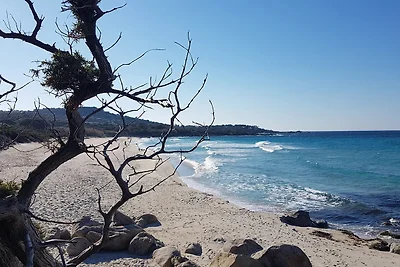 Casa Cilenti Palmier Meerblick Pool