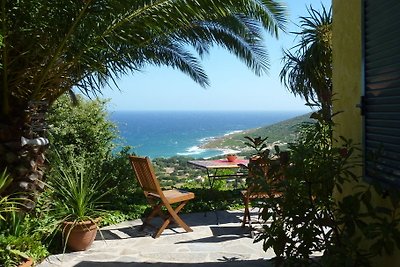 Palmier mit Meerblick  und Pool