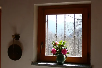 Casa Muschio (Moss)