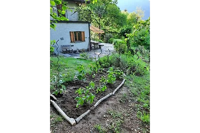 Casa Muschio (Moss)