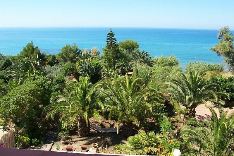 Ein tropisches Paradies mit Palmen, Strand und einem malerischen See.