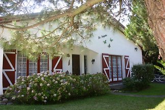 Villa Farfalles