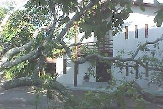 - Landhaus Am Alten Cajú-Baum