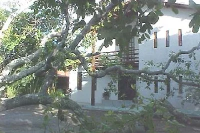 - Landhaus Am Alten Cajú-Baum