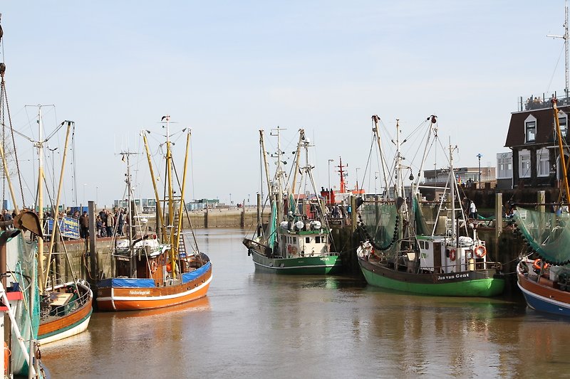 Hafen Neuharlingersiel