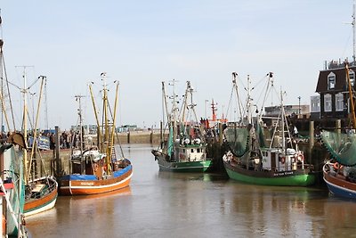 Ferienwohnung B Esens Nordsee