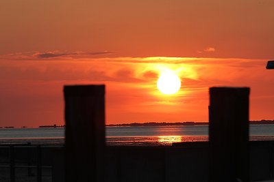 Ferienwohnung B Esens Nordsee