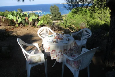 Ferienhaus bei Algajola