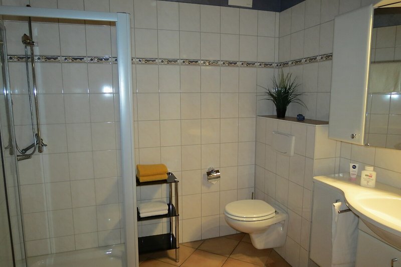 großzügiges Bad mit barrierefreiem Einstieg, Dusche, WC  Waschbecken/Spiegelschrank, Föhn
