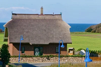 Ferienhaus Uferschwalbe