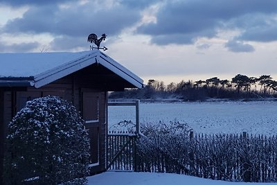 Vakantiehuis Uferschwalbe