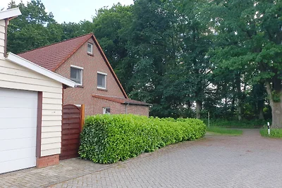 Friesenhuus Mövenblick
