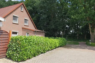 Friesenhuus Möwenblick