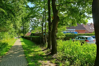 Friesenhuus Mövenblick