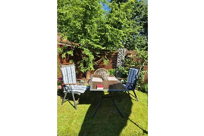 Friesenhuus Mövenblick