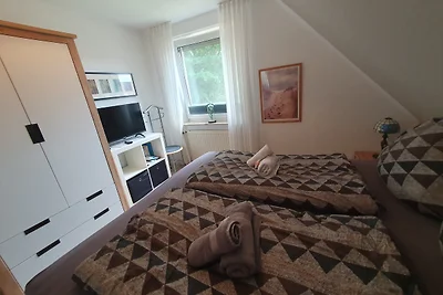 Friesenhuus Mövenblick