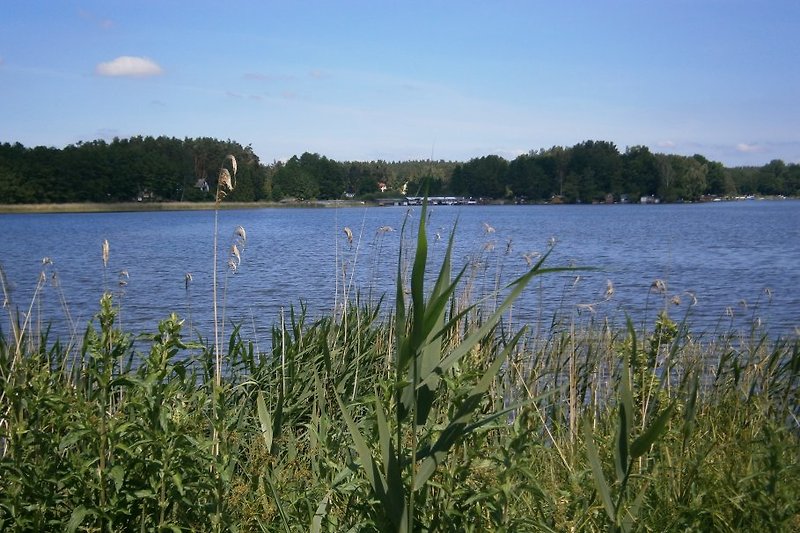 Langhagensee