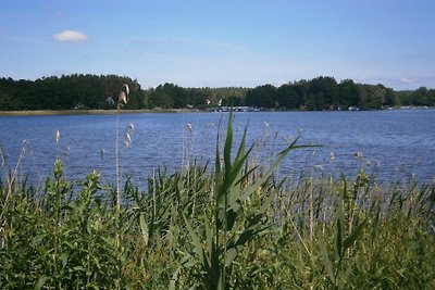 Casa di vacanza Zum Vogelberg