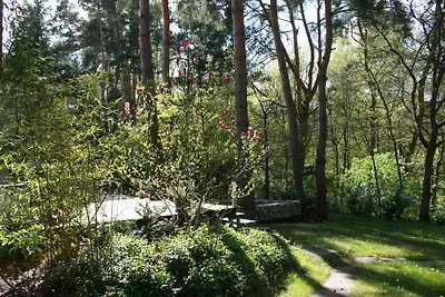 Casa di vacanza Zum Vogelberg