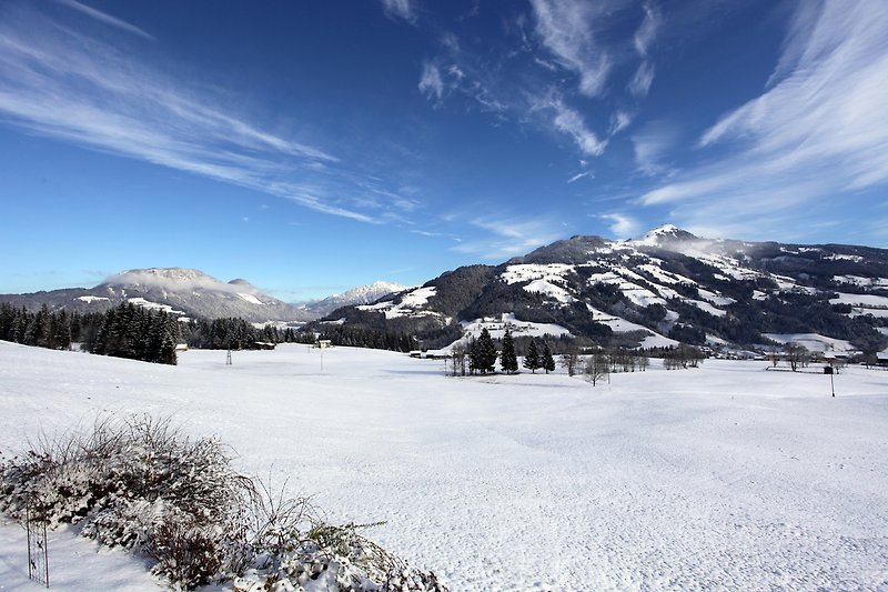 Winteraussicht auf die Hohe Salve, Wilder Kaiser, Alpenrose