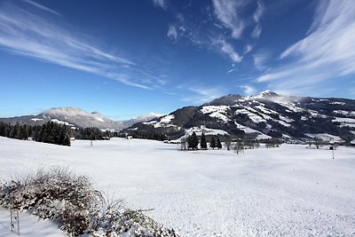 Landhaus Manzl - App. Wilder Kaiser