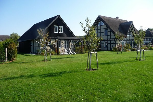 Ferienhaus Mönkebude