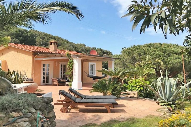 Schönes Haus mit grüner Landschaft und Palmen.