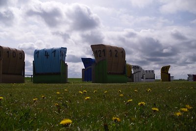 Vakantiewoning met strandstoel