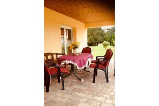 Ferienhaus am Wald und See
