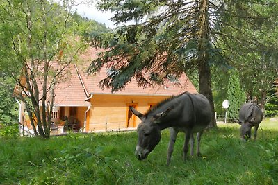 Le Chalet - Cottage en Alsace naturel