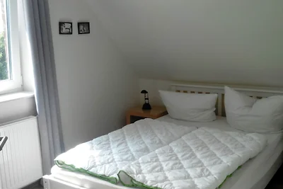 Pelle Ferienhaus III am alten Deich