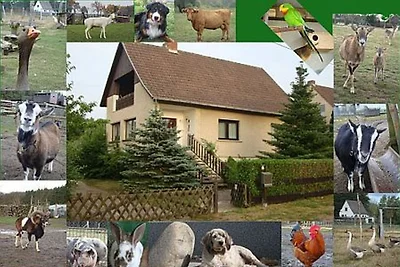 Ferienhaus Ender in der Prignitz