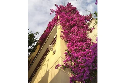 Vila Ventus