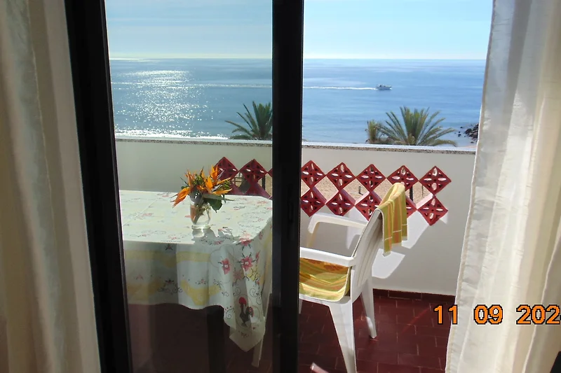 Balkon mit Blick auf Ozean und Palmen am karibischen Küstenresort.