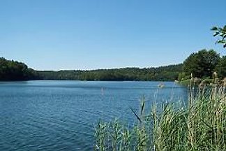 Ferienhäuschen direkt am See