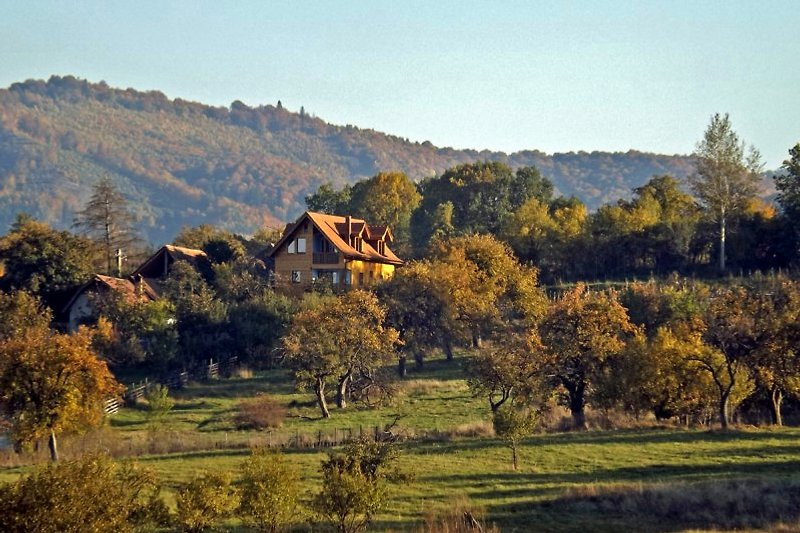 • Villa Zollo • Romania vacation rental at the Carpathians • Sibiu Transylvania