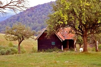 • COZO FANTU • Karpaten Berghütte