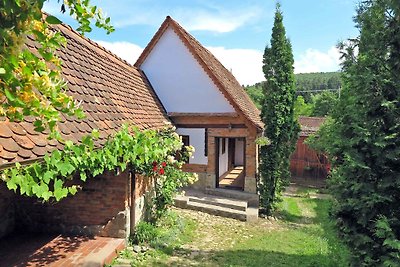 • Casa Lopo • Karpaten Bauernhof