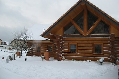 Casa de madera natural en la laguna