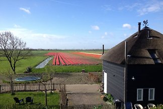 'Onder den Dijck'