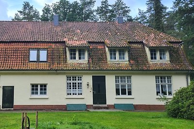 Grosszügiges Ferienhaus mit Wald