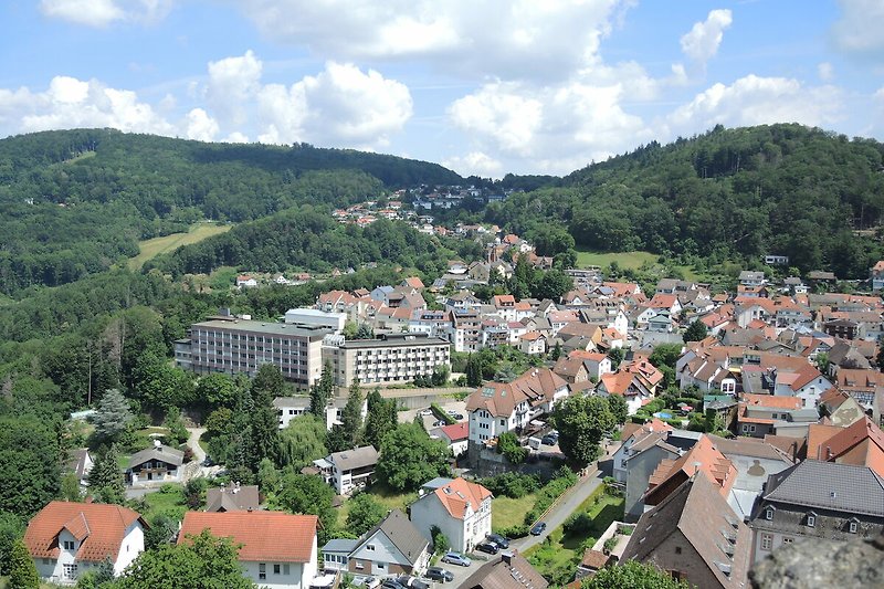 Blick von der Burg Lindenfels im Odenwald