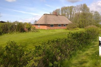 Ferienhaus unter Reet