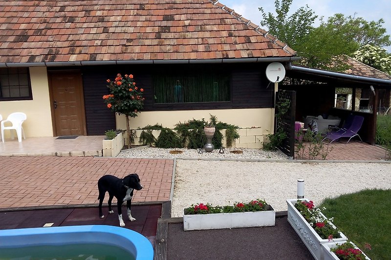 Schönes Haus mit Garten, Blumen und einem freundlichen Hund.