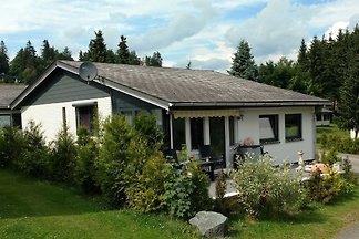 Domek letniskowy Ferienhaus Free Willi