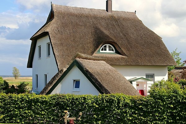 Ferienhaus Zinnowitz