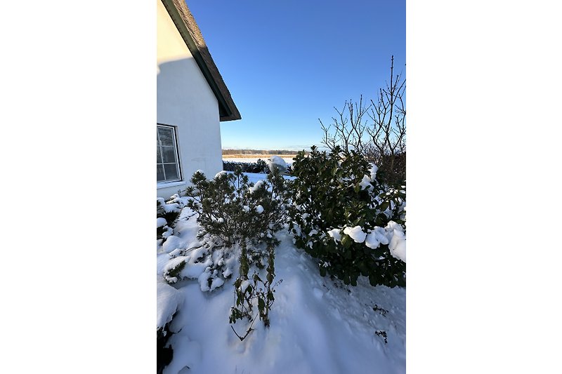 Lotsenhof im Winter
