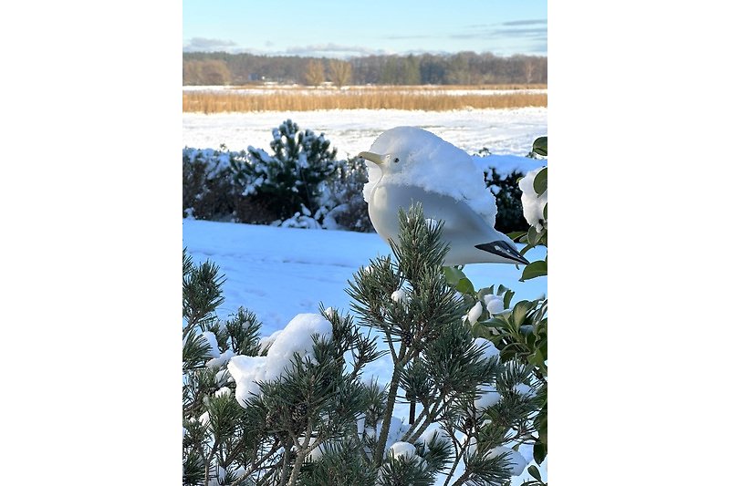 Winterliche Landschaft mit verschneiten Bäumen und einem majestätischen Schneeeulenpaar.