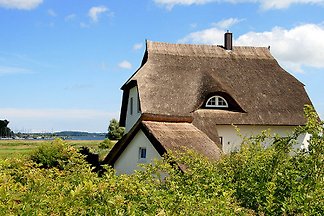 Lotsenhof 5 Sternehaus (DTV)