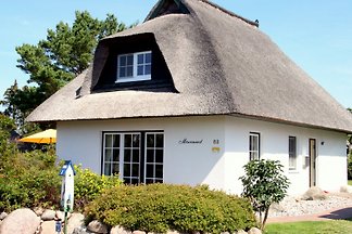 Möwennest 5 Sternehaus